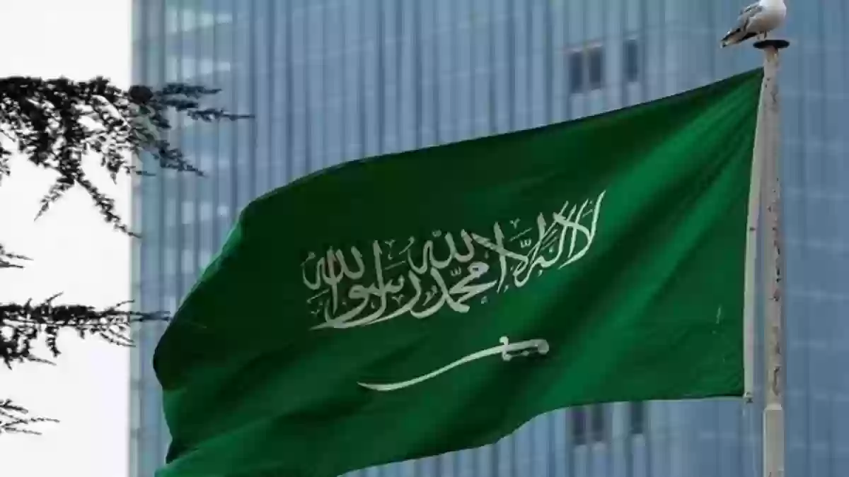 للمقيمين ومواطني السعودية | رفع الحد الأدنى للأجور «800 ريال» في أبرز تحديثات دعم التوظيف