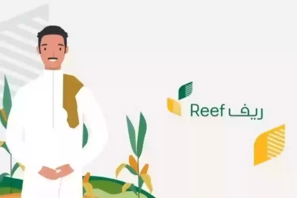 برابط مباشـر reef.gov.sa الاستعلام عن دعم ريف لربات البيوت