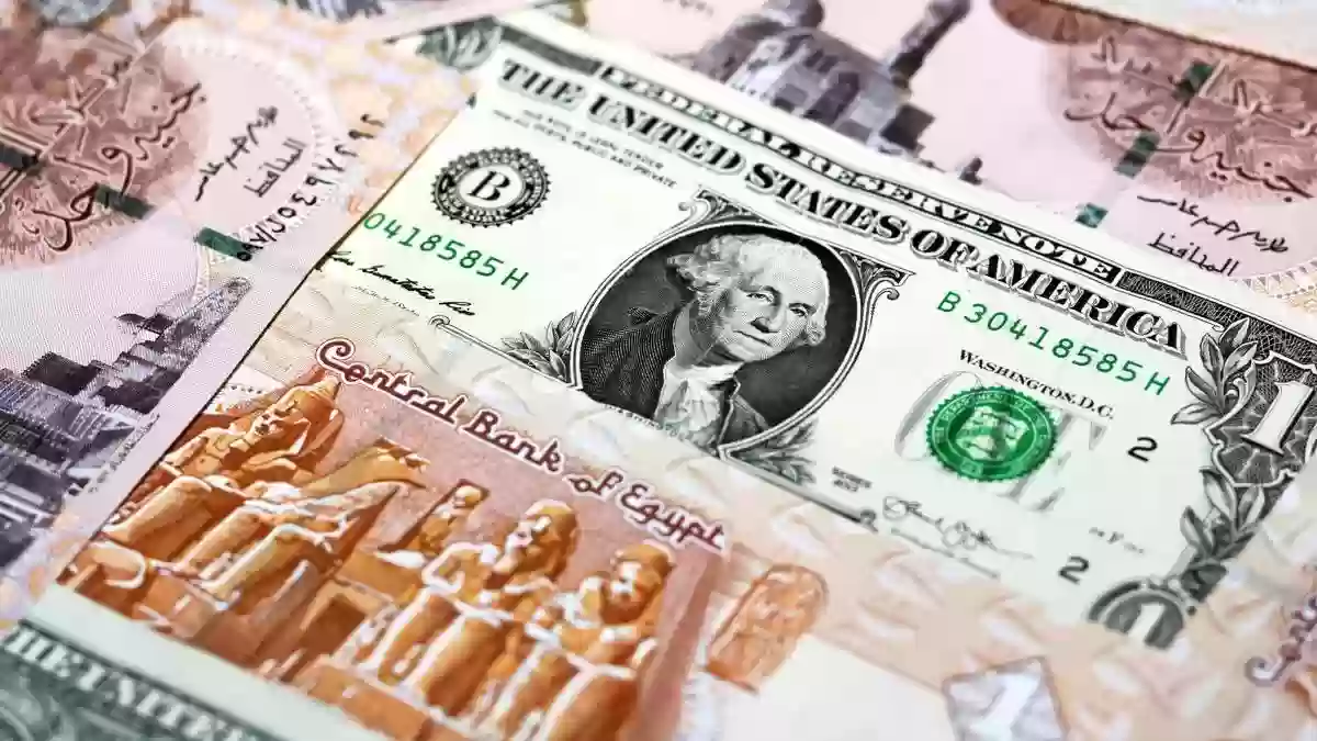 سعر الدولار في مصر بالسوق السوداء ليوم الإثنين