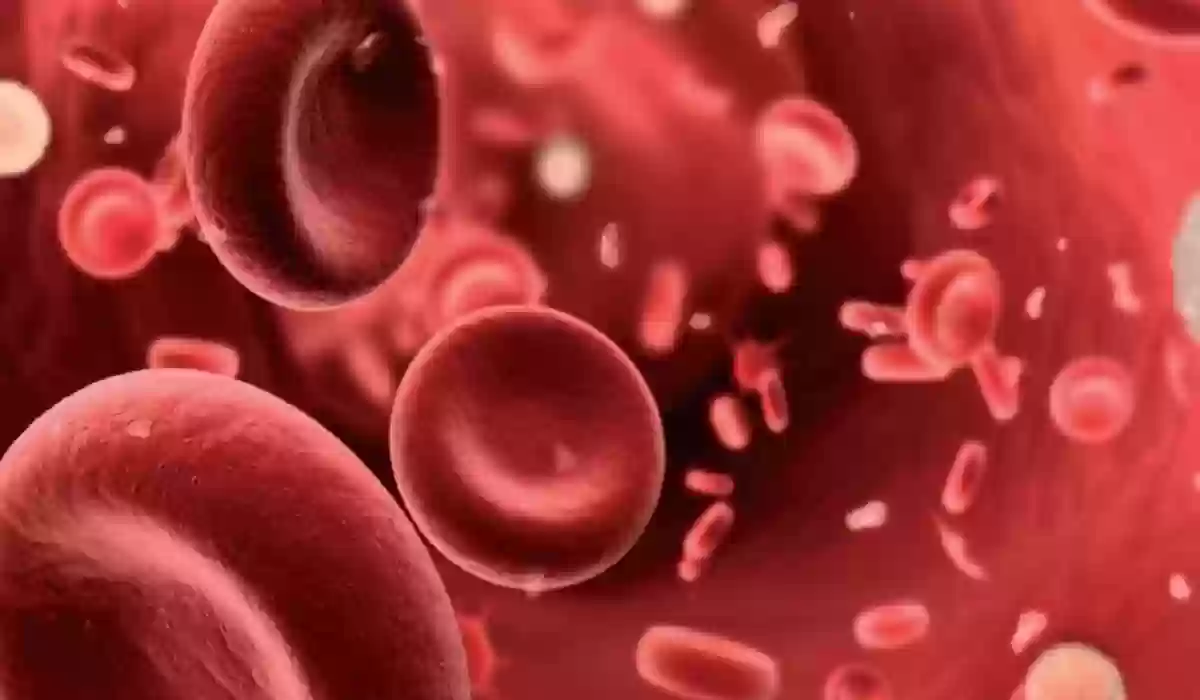 العلاقة بين فقر الدم والدورة الشهرية