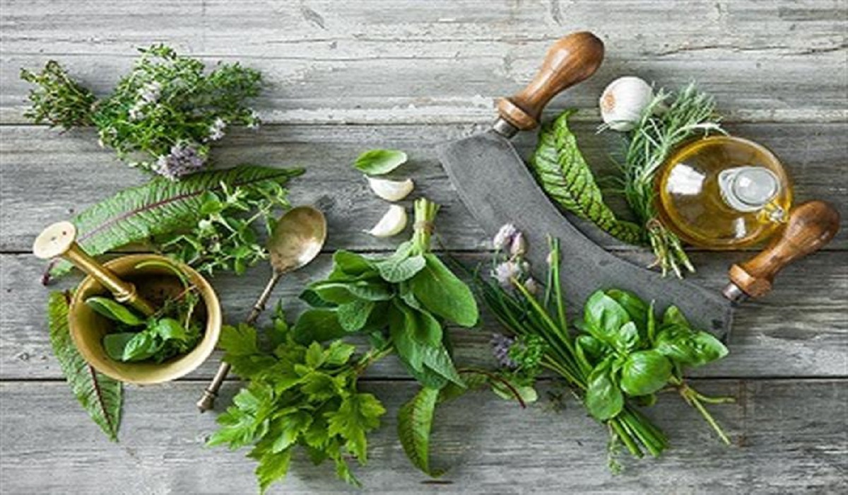 5 أعشاب لنظامك الغذائي
